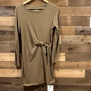 Loft Pea Green Dress